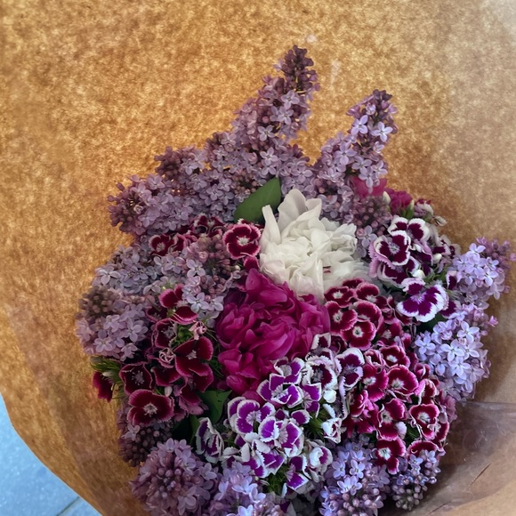 Meet your Posher, Grace - Picture 6 of 16